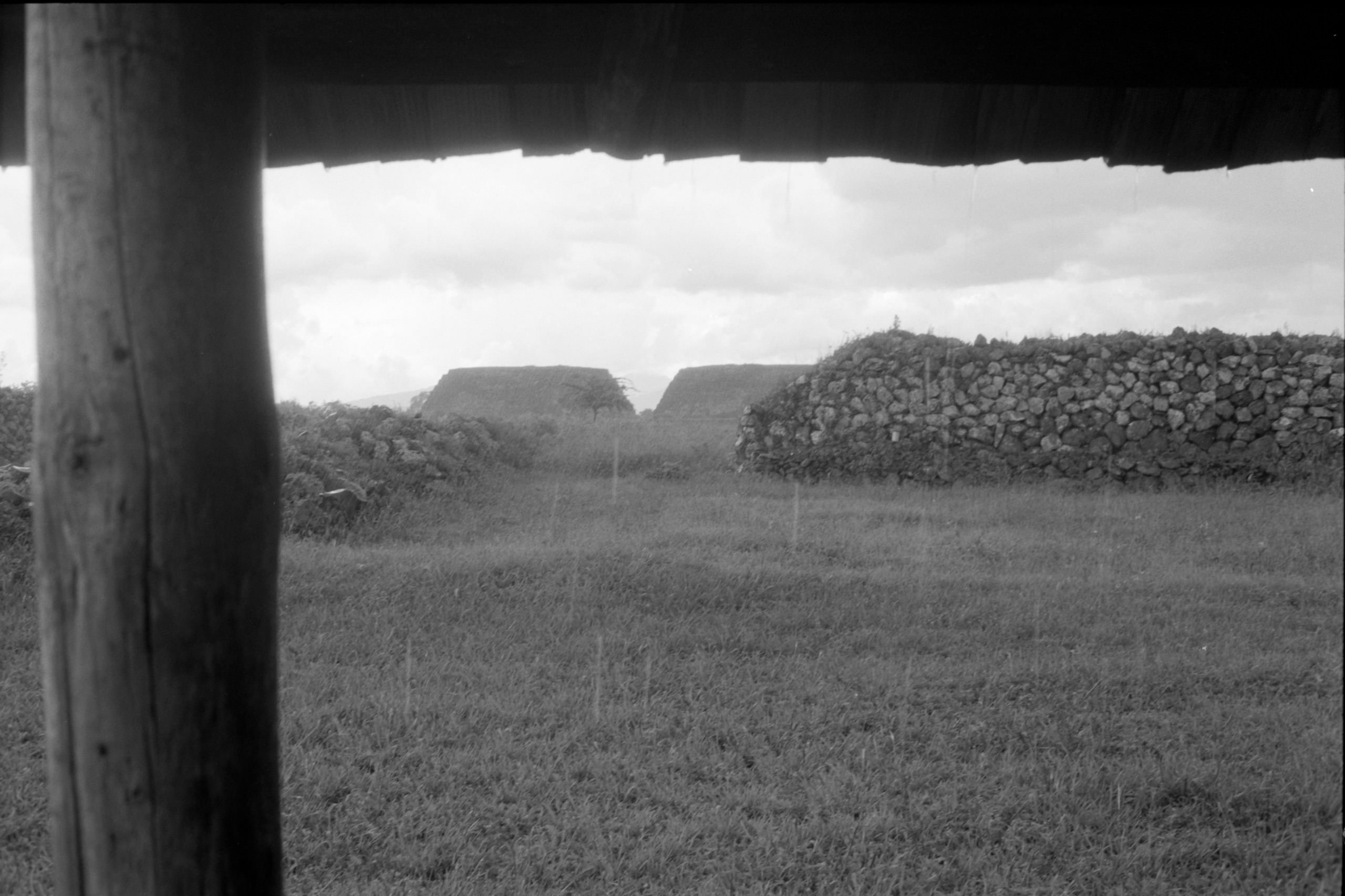 AHP FilmScan 240807 0502